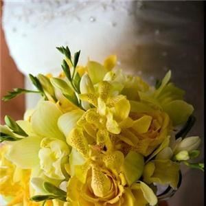 Kellie McCann Photography