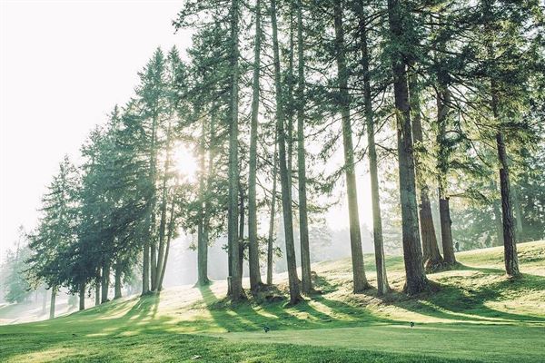 Olympia Country and Golf Club