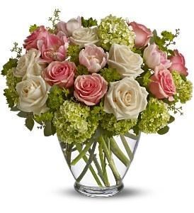 Rutland Beard Florist Of Ruxton