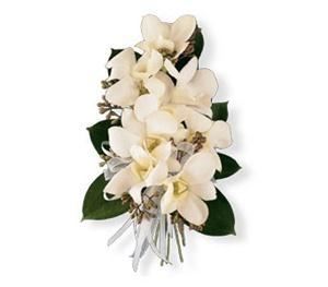 Rutland Beard Florist Of Ruxton