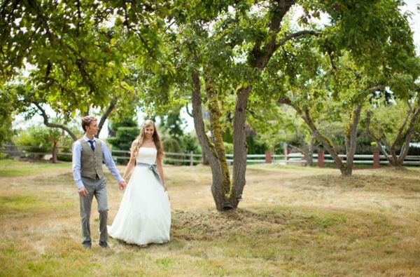 Troll Haven Brandy Farms