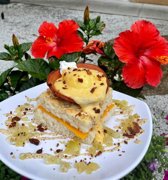 Biscuit Head in Greenville