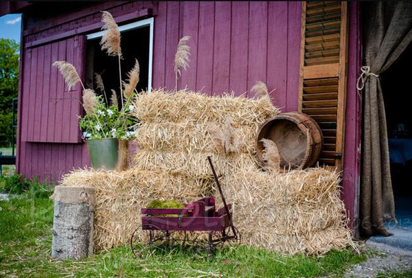 The Vermont Wedding Barn at Champlain Valley Alpacas