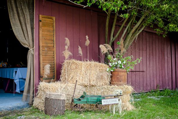 The Vermont Wedding Barn at Champlain Valley Alpacas