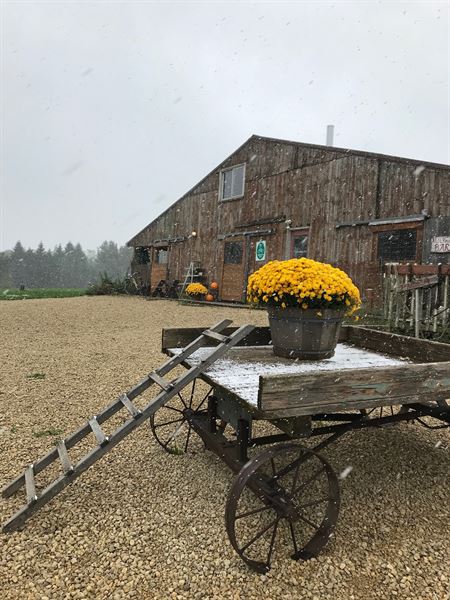 Dancing Yarrow Farm to Fork Retreat