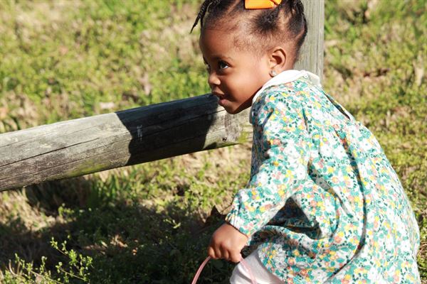 Manifested Glory Studios