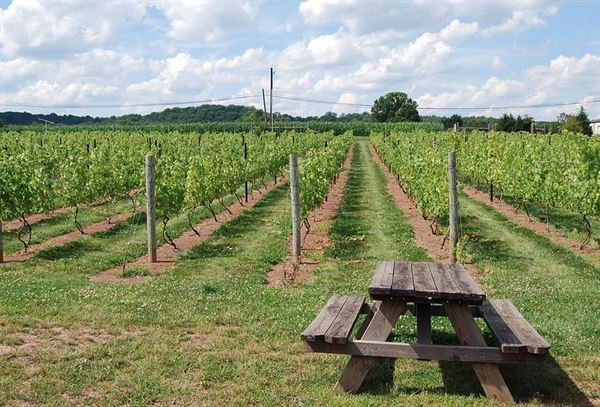 Hopewell Valley Vineyards