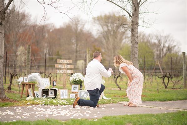 Hopewell Valley Vineyards