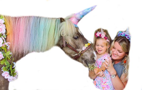 Critter Visits of Woolley Wonderland Farm