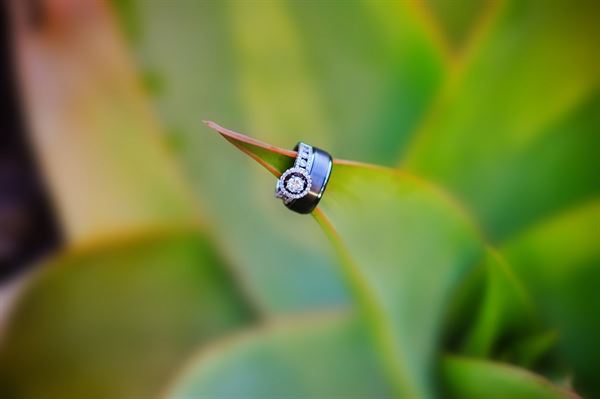 W Weddings And Events