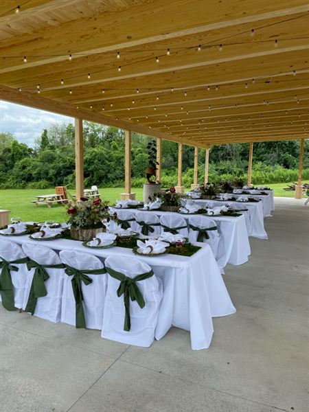 Seneca Lake Brewing Company & The Beerocracy