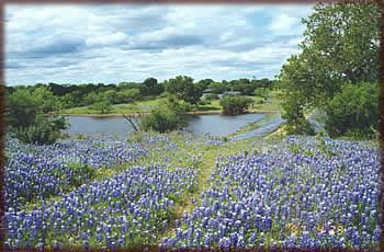 Century Ranch Lodging
