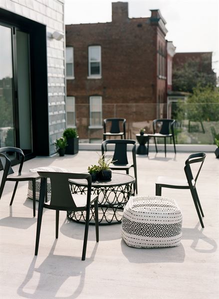 The Dogwood in Grove