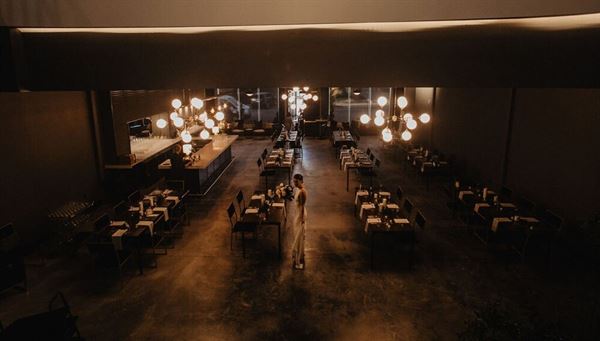 The Dogwood in Grove