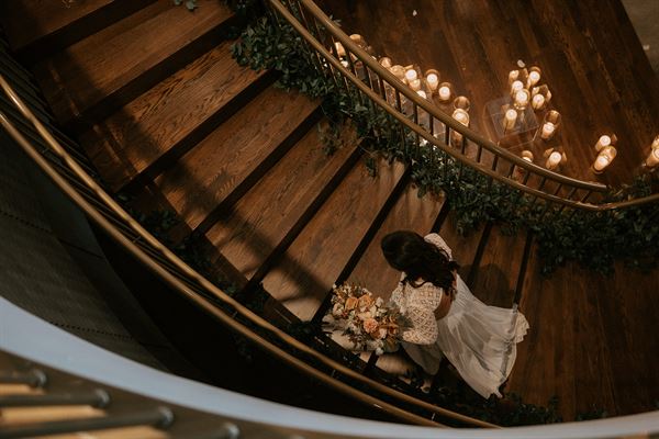 The Dogwood in Grove