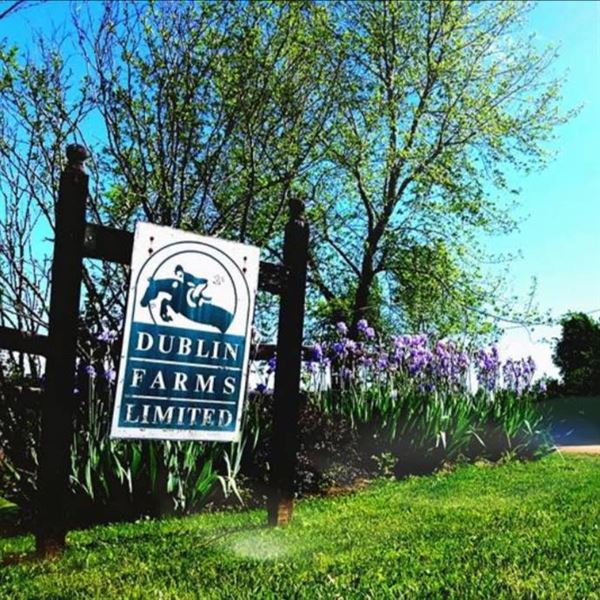 Dublin Farms Limited