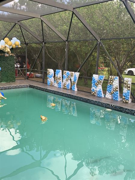 Royal Lioness Staging/ Interior Decorator