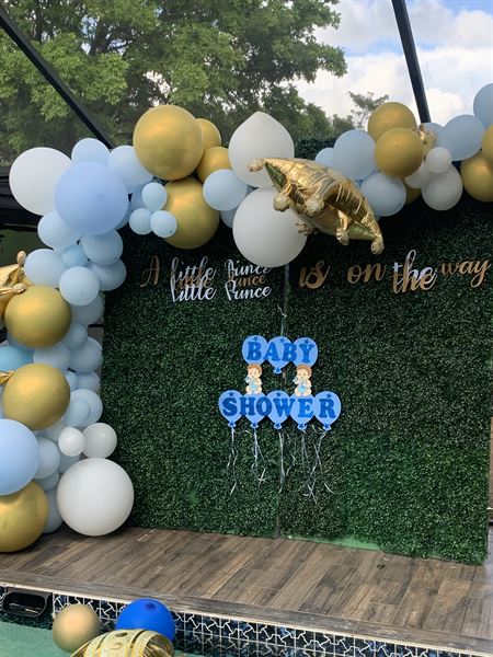 Royal Lioness Staging/ Interior Decorator