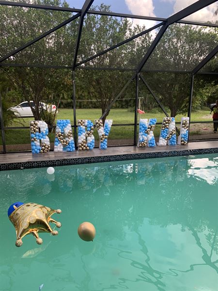 Royal Lioness Staging/ Interior Decorator