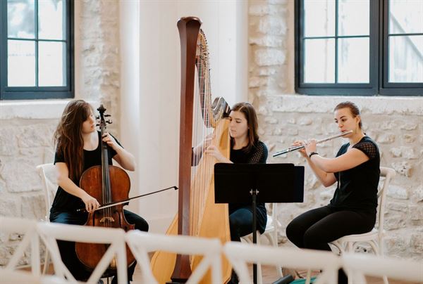 The Soenen Sisters-Harp, Flute and Cello for Weddings and Events