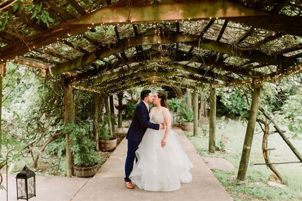 Oak Valley Vineyards