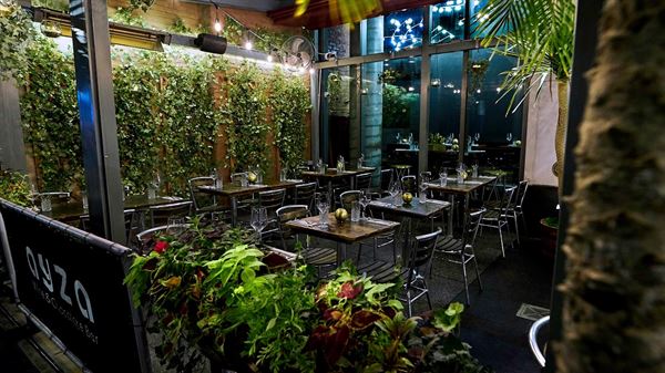 Ayza Wine & Chocolate Bar