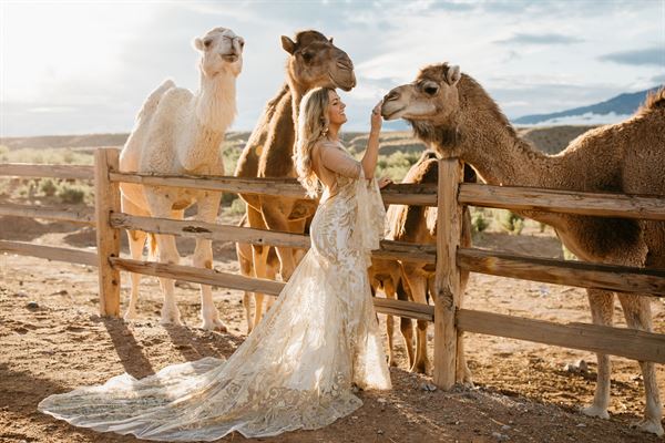 Camel Safari Event Venue