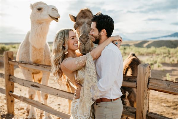 Camel Safari Event Venue