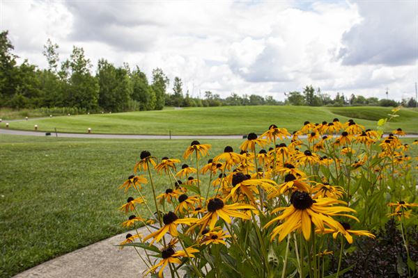 Diamond Hawk Golf Course & Pub "The Hawk"