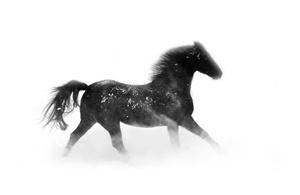 Gary Nski Photographer