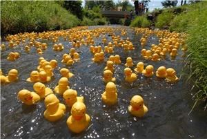 Gary Nski Photographer