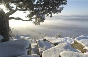 Gary Nski Photographer