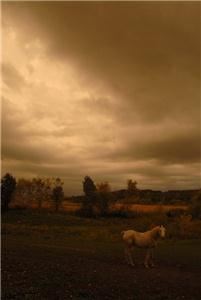 Gary Nski Photographer