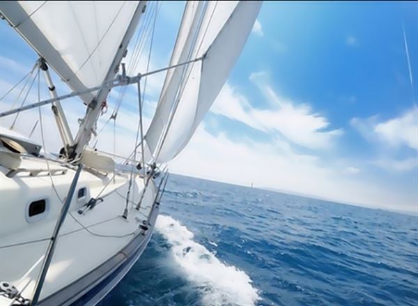 Sail Dreams Boat Charters | Trip on Channel Islands