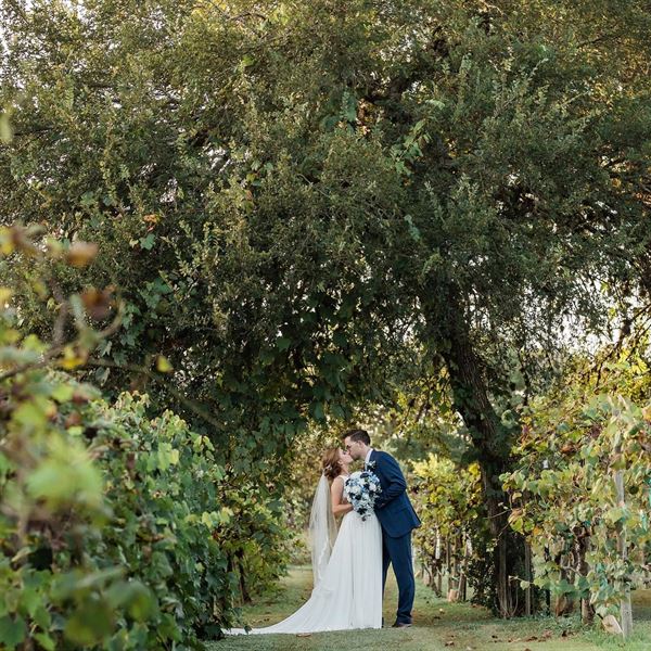 Oak Valley Vineyards