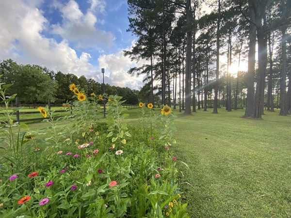 Greenlands Farm Wedding Venue & Events