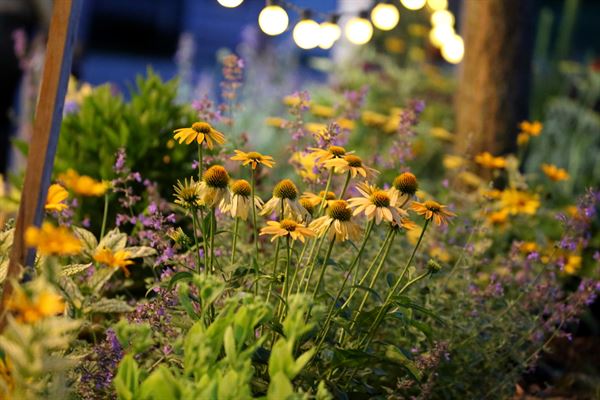 Suncrest Gardens Farm