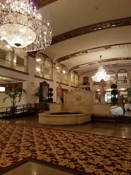 NY State Wedding Officiant DBLorgan