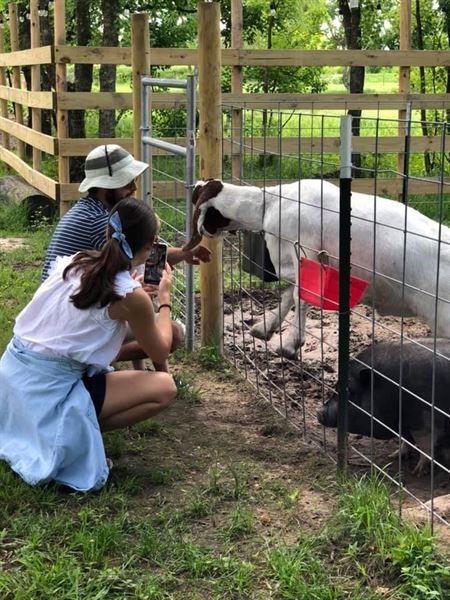 Turquoise Acres Ranch