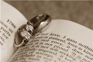 Yellow Rose Photography