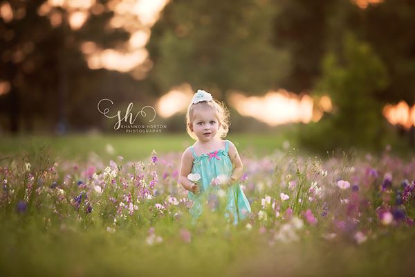 Shannon Horton Photography