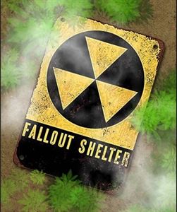 The Fallout Shelter