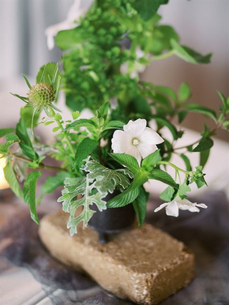 KAE | Design Co. - Luxury Event Planner in Colorado