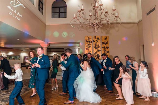 Elegant Entertainment DJ Services