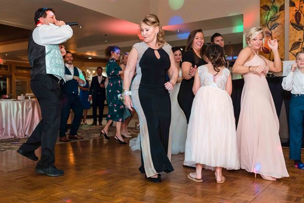 Elegant Entertainment DJ Services