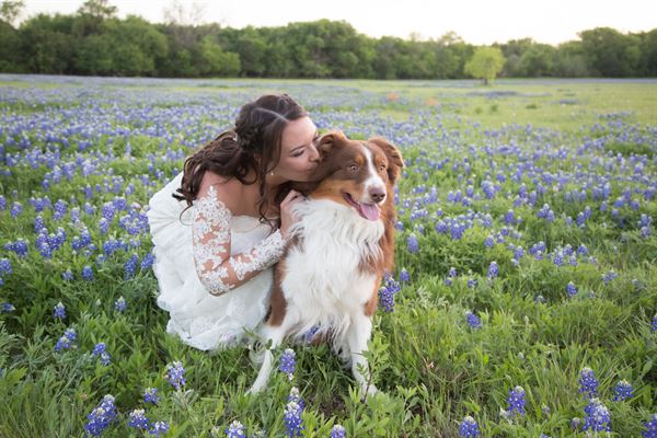 The Vineyards at Chappel Lodge