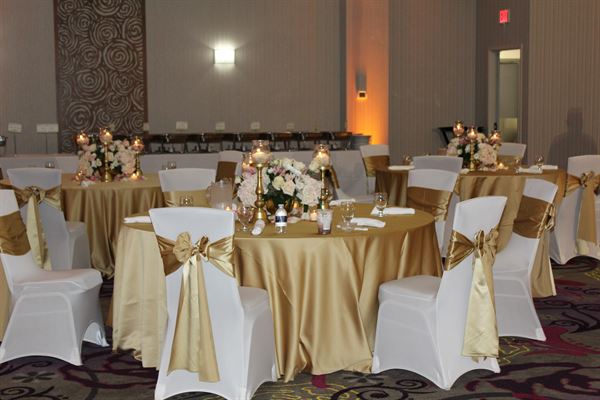 Holiday Inn Hotel and Convention Center Joliet