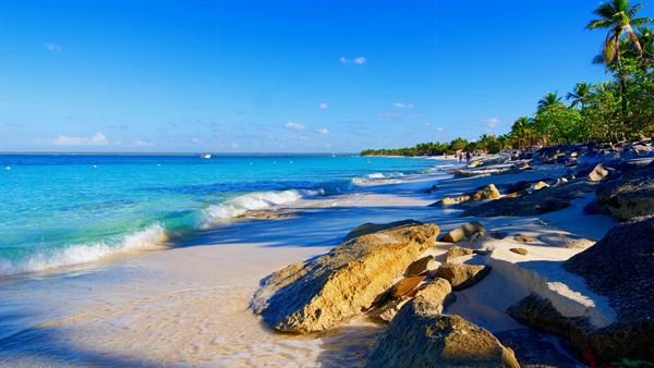 Sailing tour to Santa Catalina island