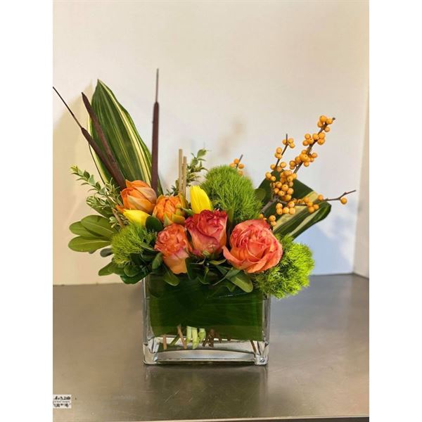 Urban Jungle Cambridge