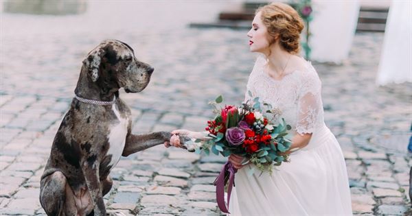 Atomic Events & Micro Weddings